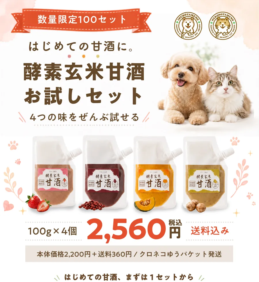 100セット限定！酵素玄米甘酒お試しセット