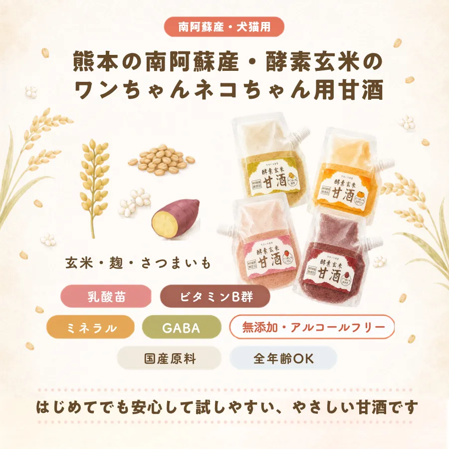 はじめてでも安心して試しやすい、やさしい甘酒です