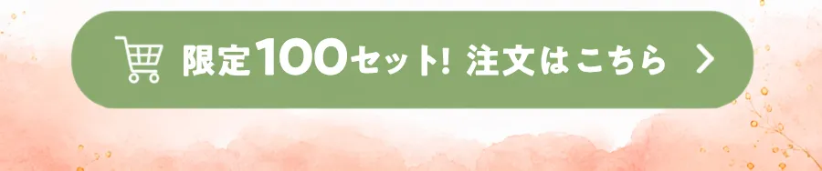 限定100セット！注文はこちら