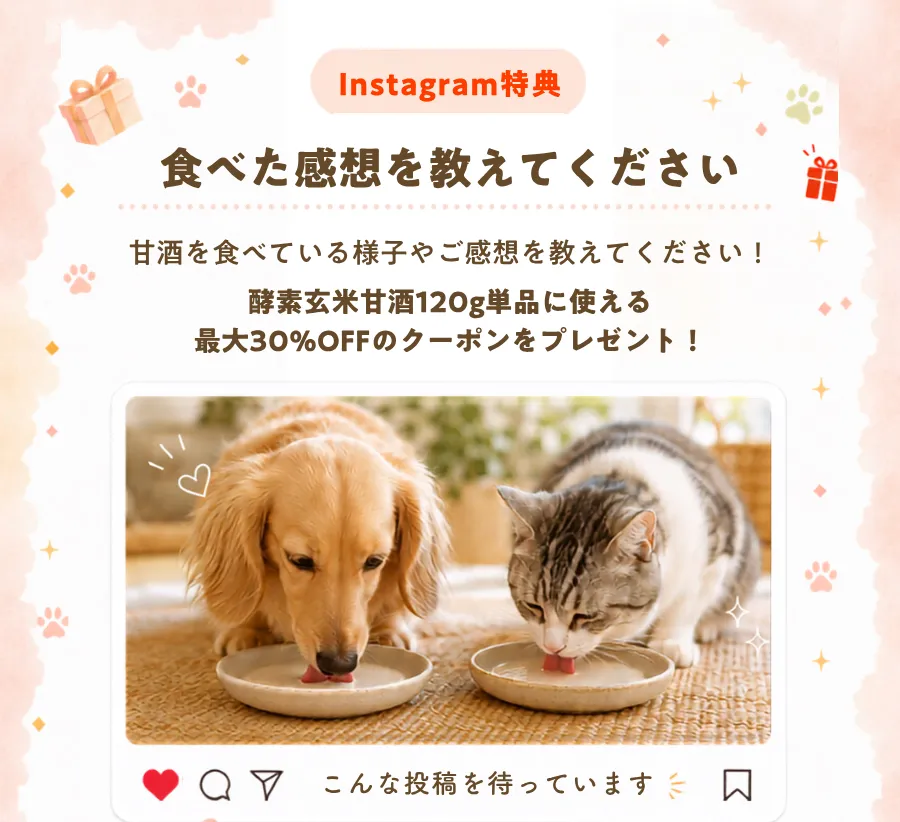 Instagram特典