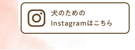 Instagramはこちら