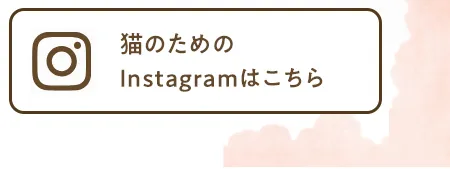 Instagramはこちら