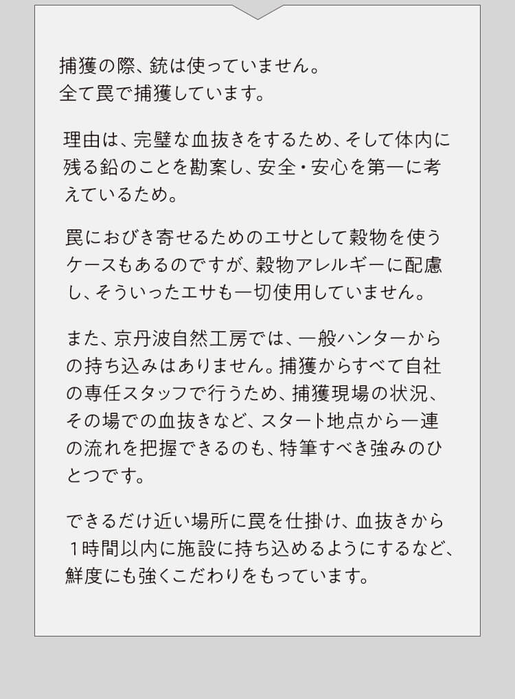 銃を使わない　説明