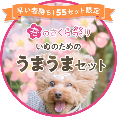 春のさくら祭り！うまうまセット