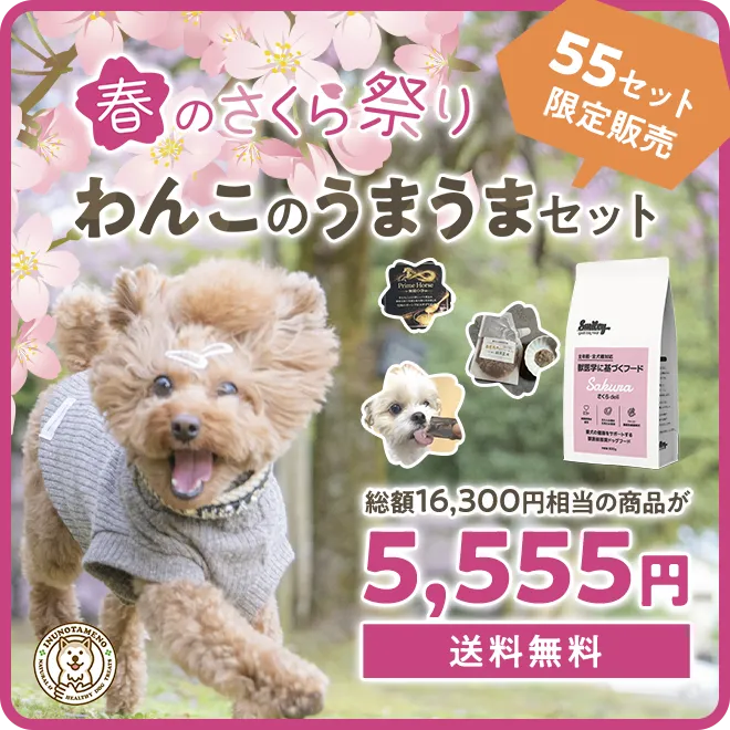 春のさくら祭り！うまうまセット