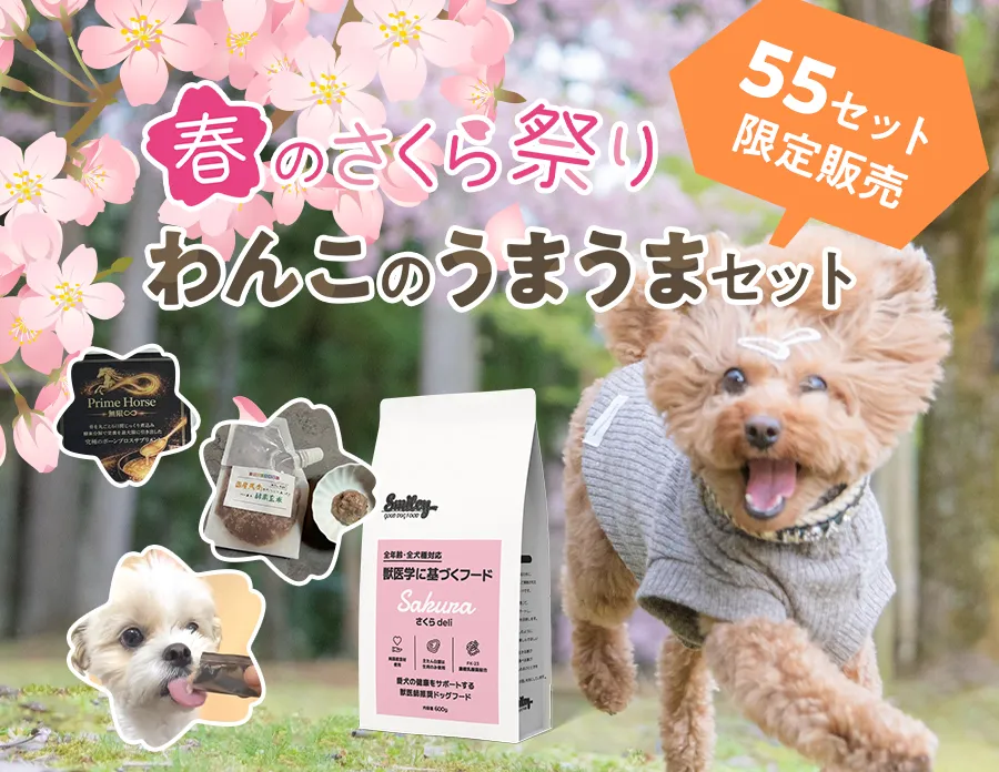春のさくらまつり！わんこのうまうまセット