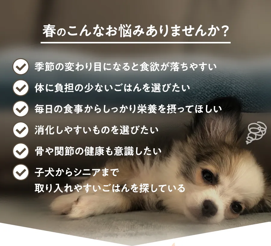 春のこんなお悩みありませんか？