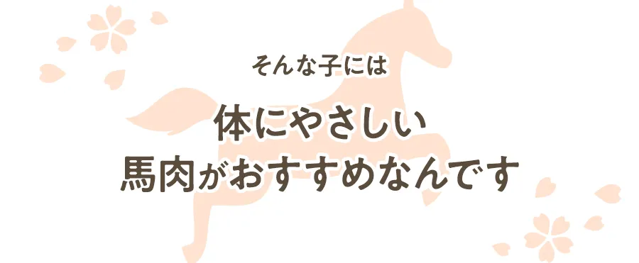 体にやさしい馬肉がおすすめなんです