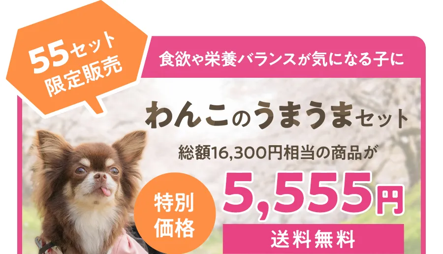 食欲や栄養バランスが気になる子に