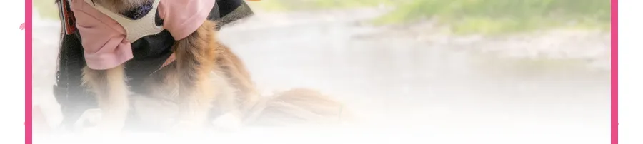 ご注文はこちら