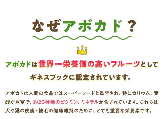 アボカドは世界一栄養価の高いフルーツとしてギネスブックに認定されています。