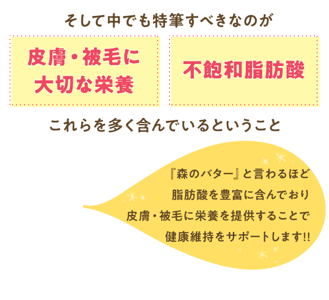 皮膚・被毛に大切な栄養、不飽和脂肪酸を多く含んでいるということ