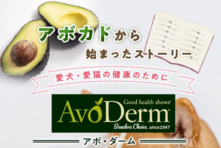 アボカドから始まったストーリー 愛犬・愛猫の健康のために AvoDerm