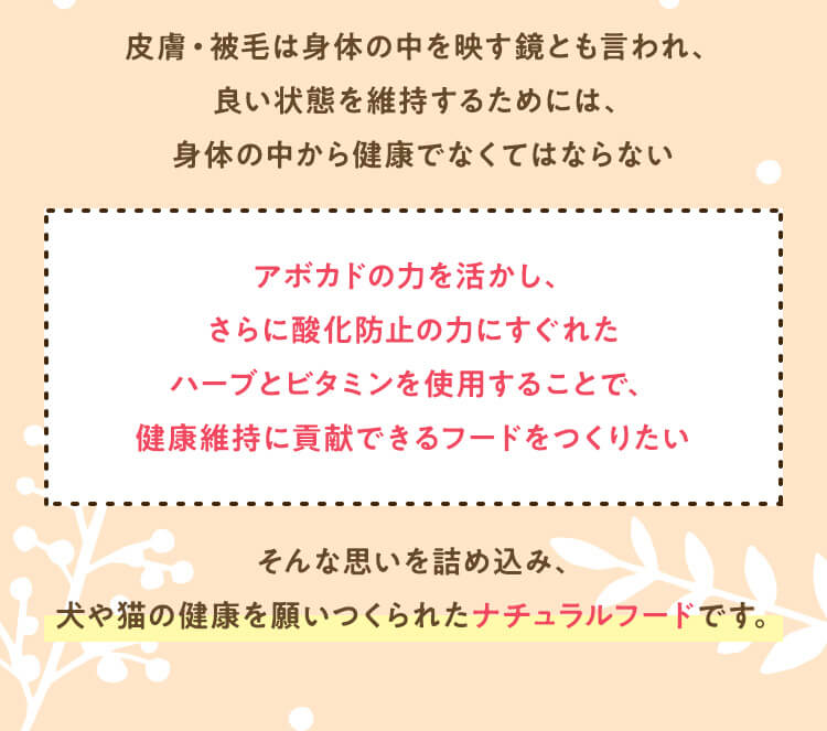 アボカドの力を活かし、さらに酸化防止の力にすぐれたハーブとビタミンを使用することで、健康維持に貢献できるフードをつくりたい