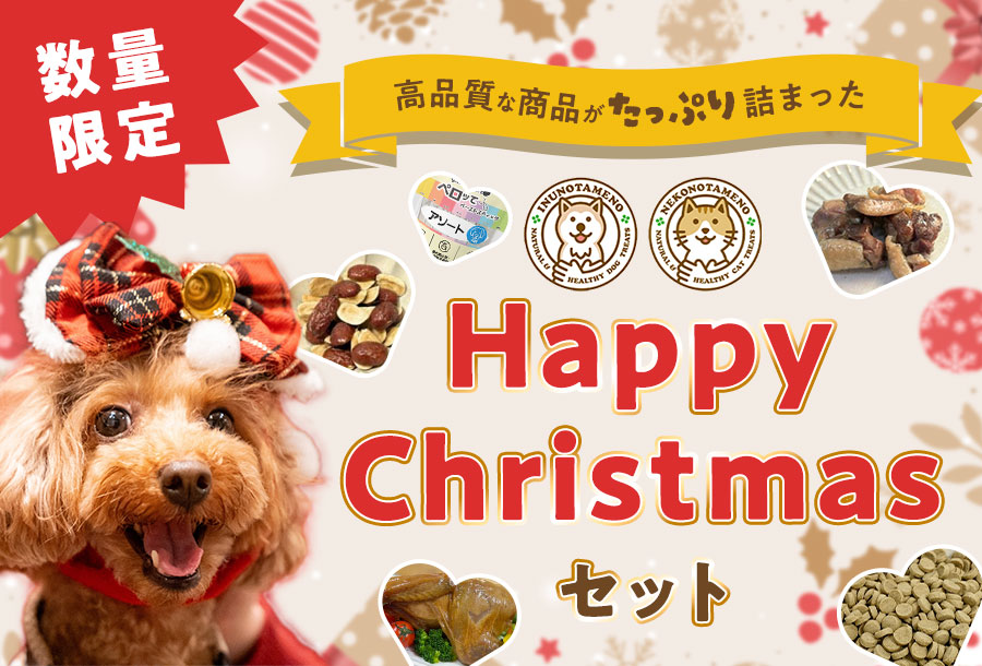 いぬのためのHappy Christmasセット！