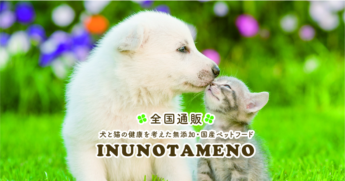 ダイエット（低カロリーフード） | いぬのための