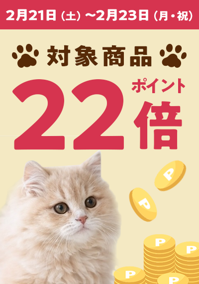 猫の日