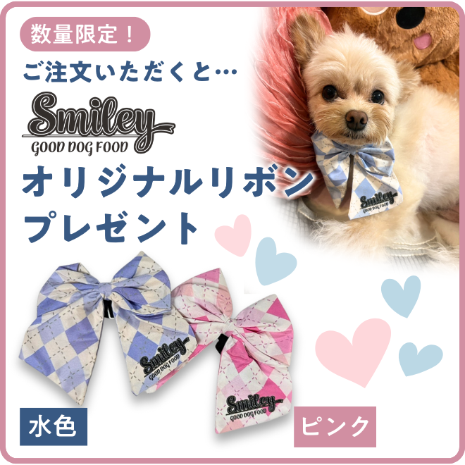 オリジナルリボンプレゼント