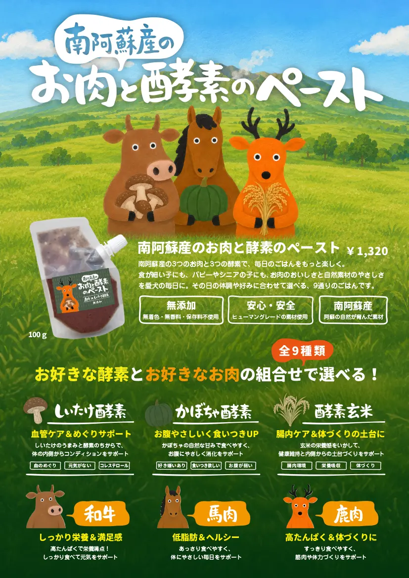 なないろ食堂 酵素ペースト パンフレット